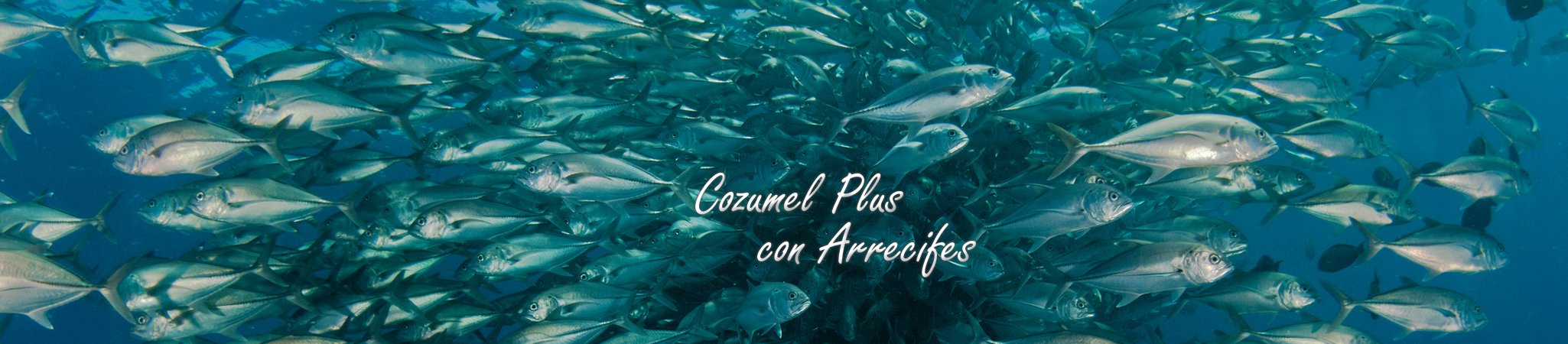 Paseo a Cozumel desde Cancun y la Riviera Maya